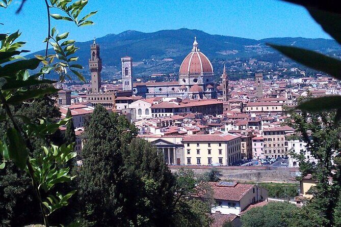 Livorno Shore Excursion to Florence and Pisa - Private Day Trip - Why This Tour Works for Travelers