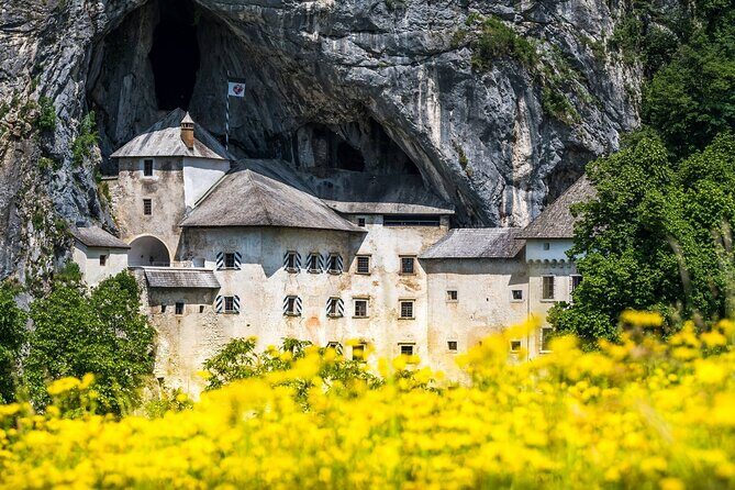 Ljubljana: Postojna cave & Predjama castle small group tour - Is This Tour Right for You?