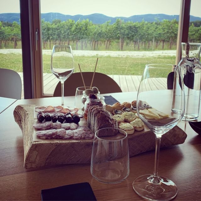 Ljubljana: Private Family-Owned Vineyard Wine Tasting Trip - Who Will Love This Tour?