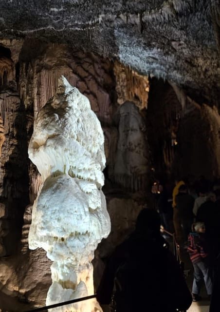 Ljubljana to Postojna Cave,Predjama Castle and Postojna park - The Itinerary in Detail: What You Can Expect