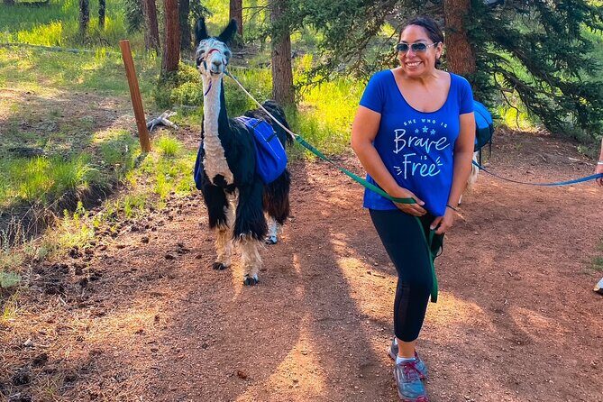 Llama to Lunch in the Rocky Mountains - Analyzing the Price and Value