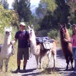 Llama Trek (Taster) - Kowhai River Valley and Native Woodland Tour - FAQs