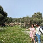 Llogara Caesar's Path,Orikum Park & Marmiroi Church Guided Tour - Authentic, Small-Group Exploration