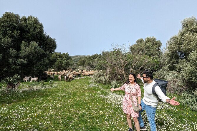 Llogara Caesar's Path,Orikum Park & Marmiroi Church Guided Tour - Authentic, Small-Group Exploration