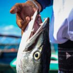 Local Fishing Plus Snorkeling Tour in Isla Mujeres - Frequently Asked Questions