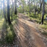 Local Gems 3 Hour MTB Small Group Tour - Who Should Consider This Tour?