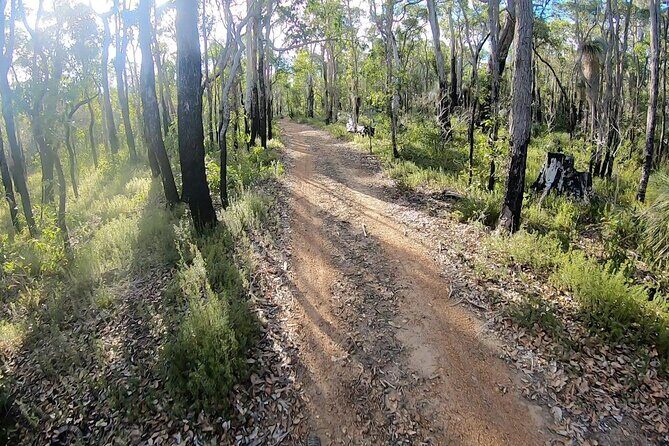 Local Gems 3 Hour MTB Small Group Tour - Who Should Consider This Tour?