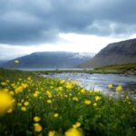 Local Guide Private Tour from Ísafjörður-Flexible Itinerary - A Closer Look at the Itinerary and Experience