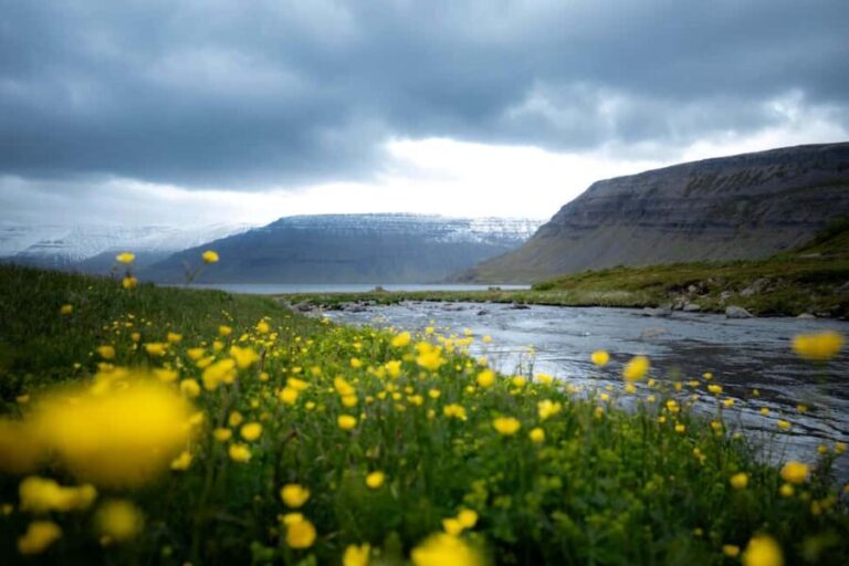 Local Guide Private Tour from Ísafjörður-Flexible Itinerary - A Closer Look at the Itinerary and Experience