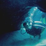 Local Guided Dives (for certified/licensed divers) - Who’s This Tour Best For?