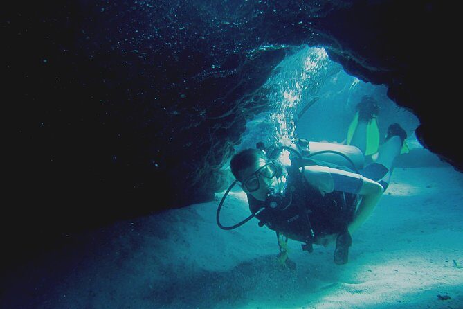 Local Guided Dives (for certified/licensed divers) - Who’s This Tour Best For?