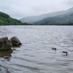 Loch Lomond and The Highlands Day Tour - What’s Included and What to Expect