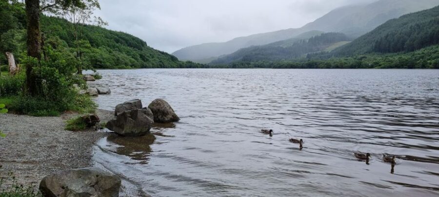 Loch Lomond and The Highlands Day Tour - What’s Included and What to Expect
