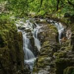 Loch Ness Cruise, Scenic Walk, Whisky & Glencoe Tour - Edinburgh - The Balance: Pros and Cons