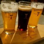 Lodz Private Polish Beer Tasting Tour - An In-Depth Look at the Lodz Beer Tasting Tour