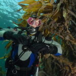 Lofoten: First Time Scuba Diving Experience - What Makes This Tour Stand Out