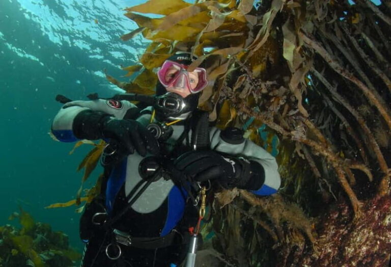 Lofoten: First Time Scuba Diving Experience - What Makes This Tour Stand Out