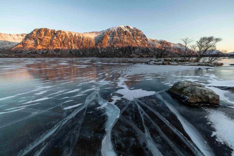 Lofoten: Half-Day Guided Tour with local guide Photo Stops - Who Should Book This Tour?