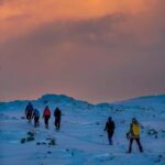 Lofoten: Half Day Snowshoe Tour - Who Is This Tour Best For?