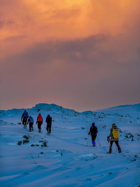Lofoten: Half Day Snowshoe Tour - Who Is This Tour Best For?
