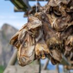 Lofoten: Hamnøy & Reine Private Photo Tour - The Practicalities