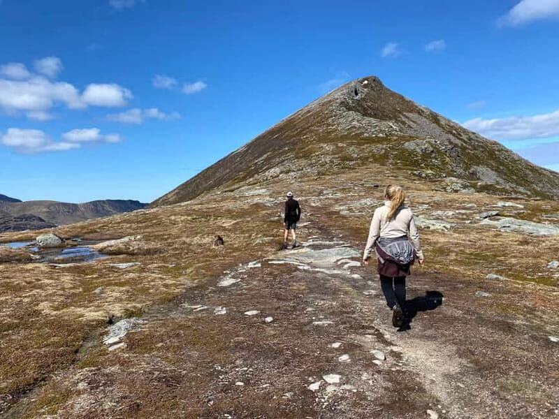 Lofoten Islands: Guided Hiking Into the Wilderness-Easy Tour - The Itinerary in Detail