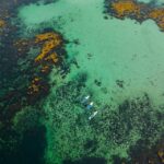 Lofoten Islands: SUP Adventure - Guided Tour - A Deep Dive into the SUP Adventure Experience
