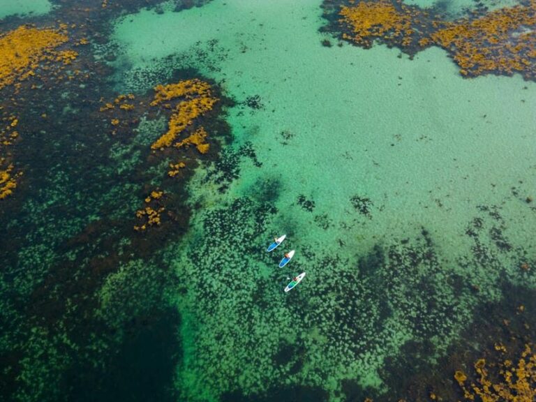 Lofoten Islands: SUP Adventure - Guided Tour - A Deep Dive into the SUP Adventure Experience