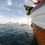Lofoten: Traditional Fishing Trip - Why This Tour Delivers Value