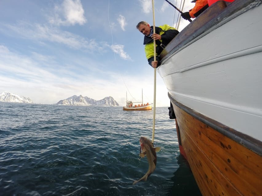 Lofoten: Traditional Fishing Trip - Why This Tour Delivers Value