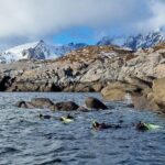Lofoten Unique Snorkeling Experience in Dry Suit - Detailed Itinerary and Experience Breakdown