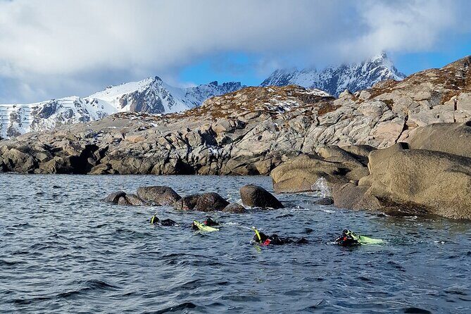 Lofoten Unique Snorkeling Experience in Dry Suit - Detailed Itinerary and Experience Breakdown