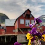 Lofoten VIP PRIVATE Tour from Leknes city / port - The Sum Up