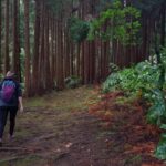 Lomba de São Pedro: Waterfall Hiking Tour with Tea Tasting - Who Is This Tour Best For?