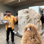 London: British Museum Private Guided Tour - Practical Details and What to Expect