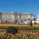 London: Changing of the Guard Group Walking Tour - A Detailed Breakdown of the Itinerary