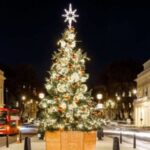 London: Christmas Lights Tour, Mince Pies, & Festive Drinks - Frequently Asked Questions
