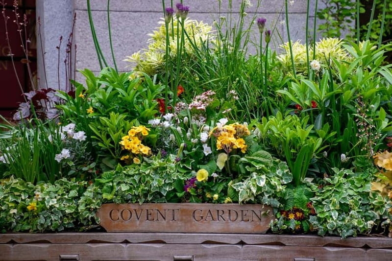 London: Customized Half-Day Private Tour with a Local - An In-Depth Look at the Tour Experience