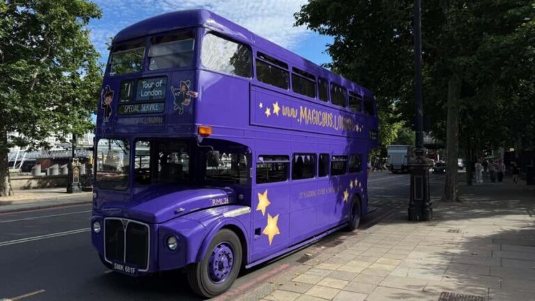 London: Guided Harry Potter Bus Tour of Locations - An In-Depth Look at the Tour Experience