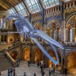 London: Guided Tour of the Natural History Museum - What Do Visitors Say?