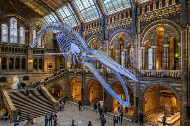London: Guided Tour of the Natural History Museum - What Do Visitors Say?