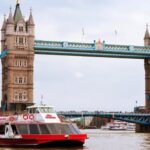 London Harry Potter Tour, St Paul's Cathedral & River Cruise - Who This Tour Is Perfect For