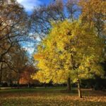 London Literary Private Walking Tour Of Bloomsbury - The Sum Up