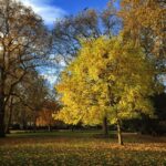 London Literary Walking Tour (Bloomsbury) - What to Expect on the Tour
