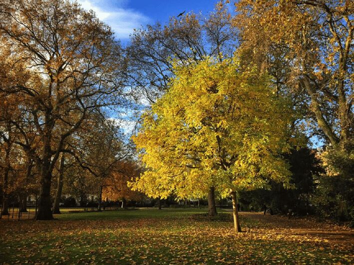 London Literary Walking Tour (Bloomsbury) - What to Expect on the Tour