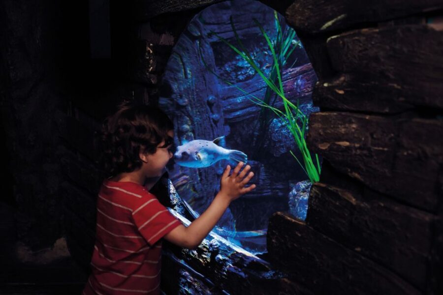 London: Madame Tussauds, London Eye & SEA LIFE Combo Ticket - FAQ