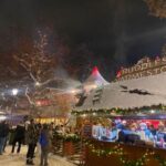 London: Magical Christmas Lights Guided Tour by Private Taxi - A Closer Look at the Tour Experience