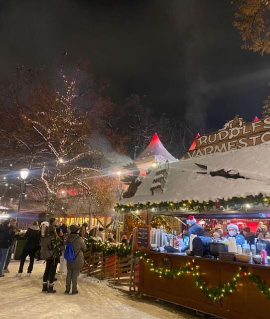 London: Magical Christmas Lights Guided Tour by Private Taxi - A Closer Look at the Tour Experience