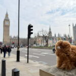 London: National Gallery Private Guided Tour - An In-Depth Look at the Experience