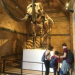 London: Natural History Museum Entry Ticket and Guided Tour - Detailed Breakdown of the Experience